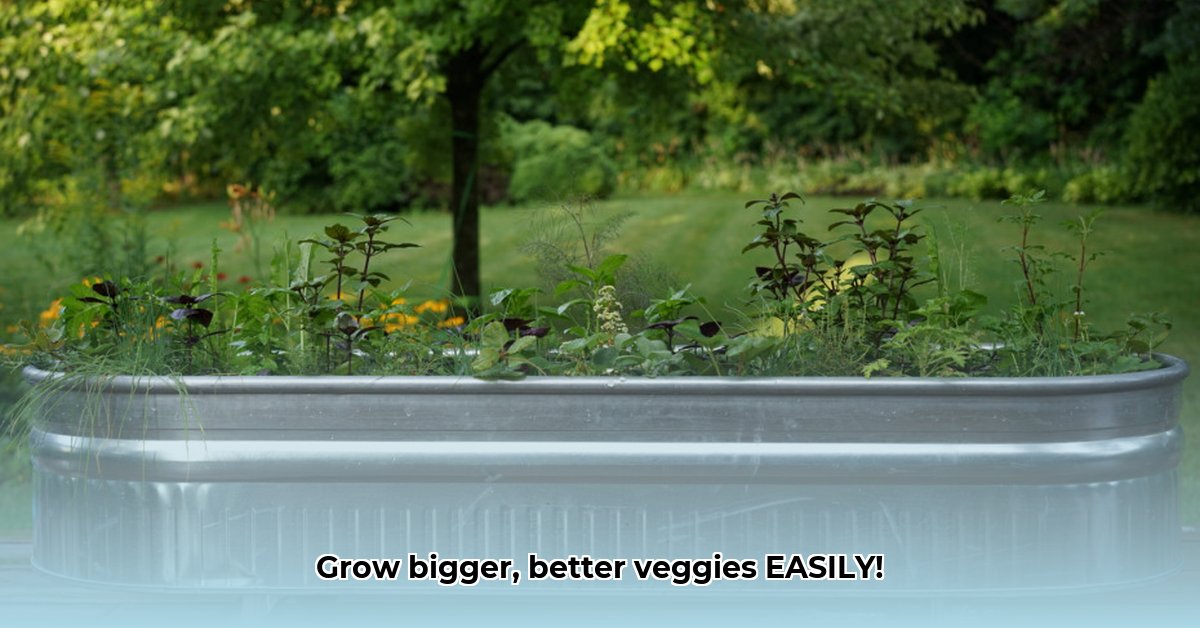 raised-garden-bed-tractor-supply